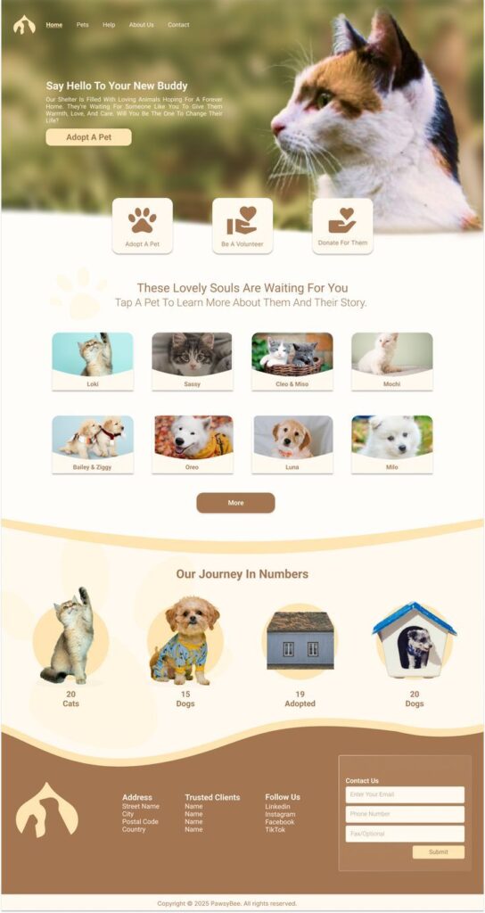 Diseño web y SEO en Jaén para clínicas veterinarias
